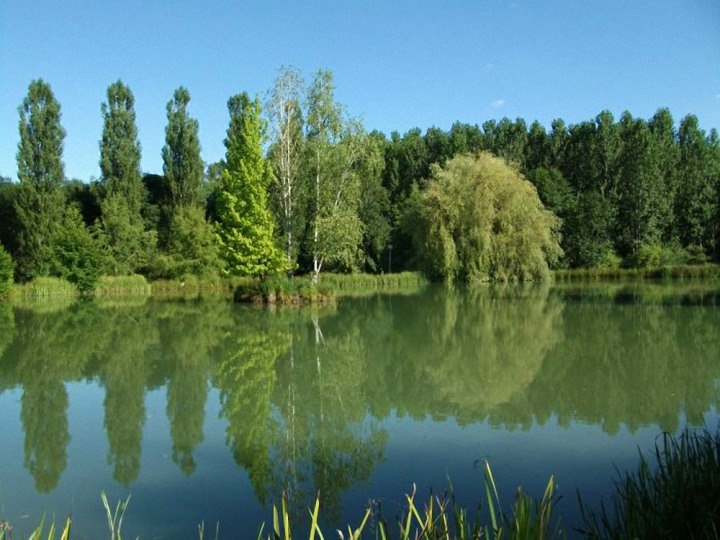 Le Domaine de l'Etang de Sandanet - Chambre d'hôtes et Gîtes en Dordogne Périgord Vert - Etang Gîtes Dordogne