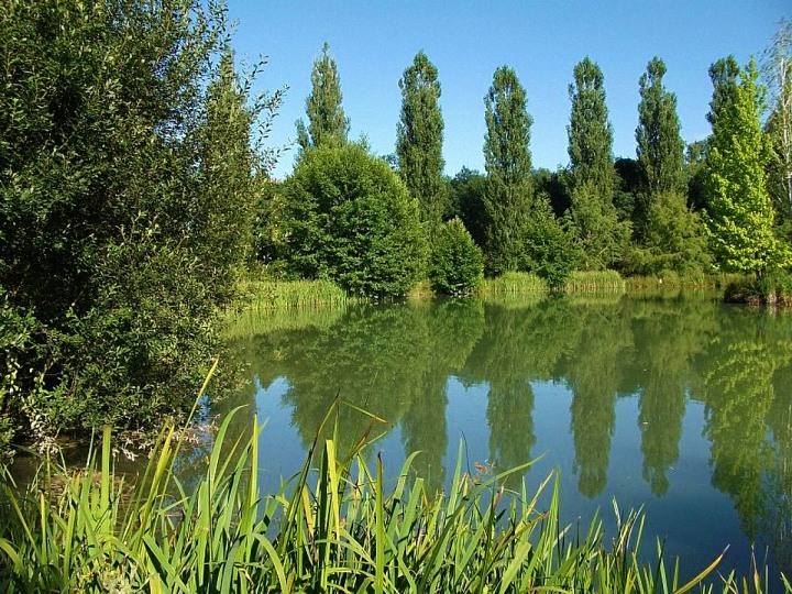 Le Domaine de l'Etang de Sandanet - Chambre d'hôtes et Gîtes en Dordogne Périgord Vert - Etang Gîtes Dordogne